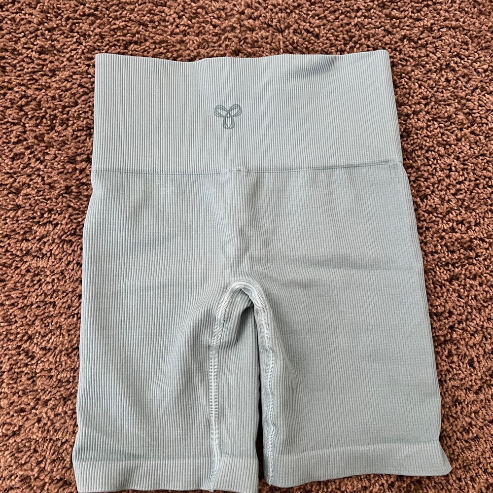 Aritzia Biker Short - Teal - Xs